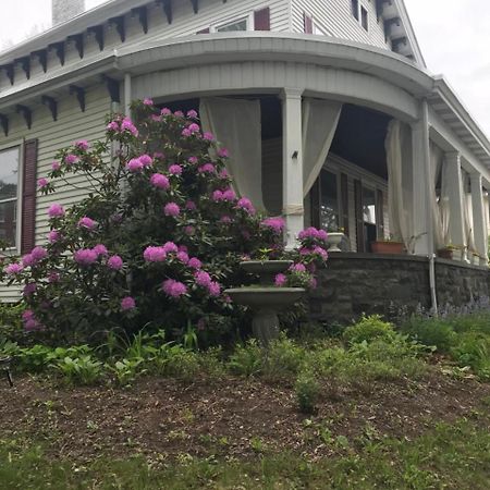 Bel'S Inn Bed And Breakfast 金斯顿 外观 照片