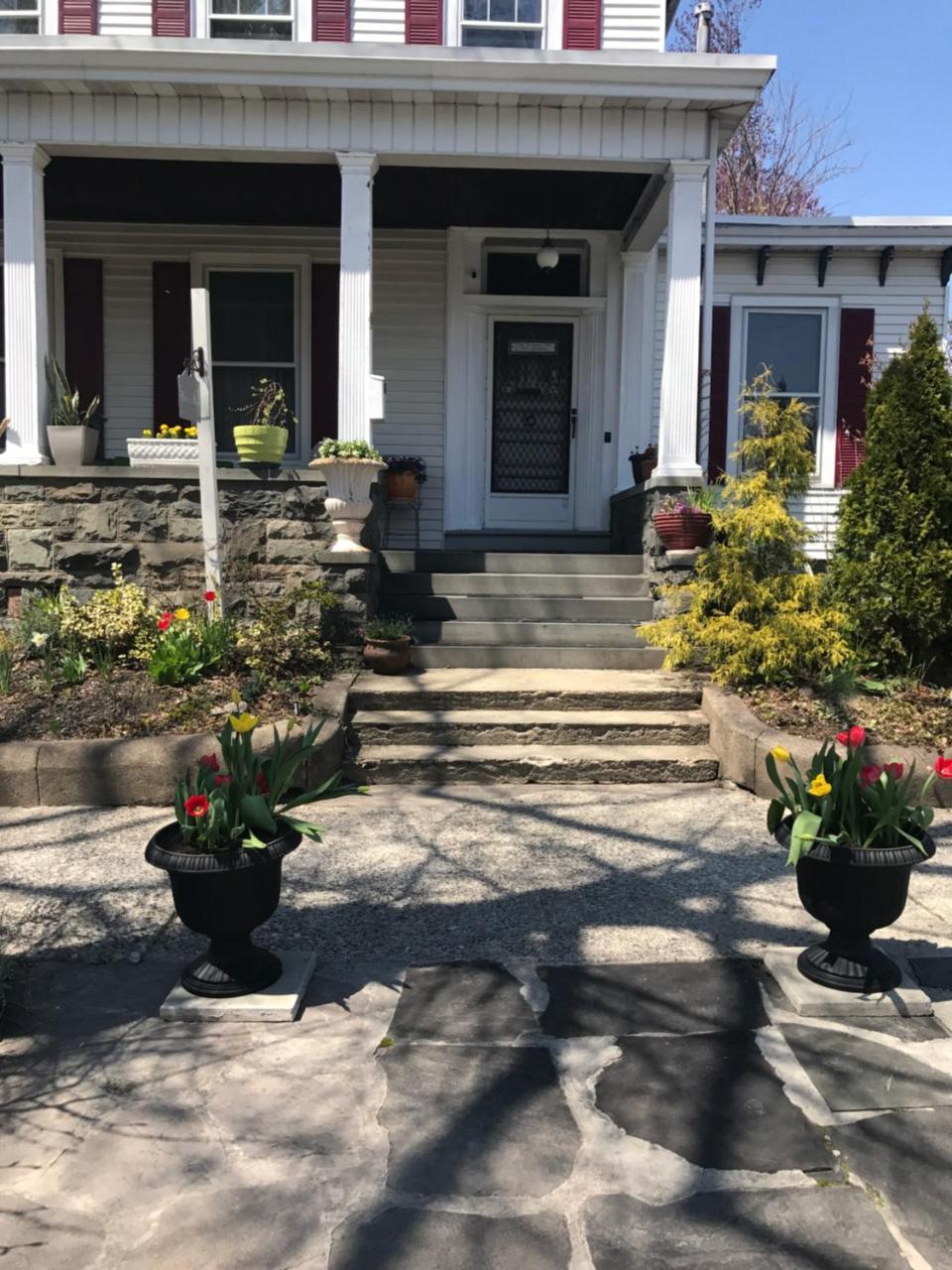 Bel'S Inn Bed And Breakfast 金斯顿 外观 照片