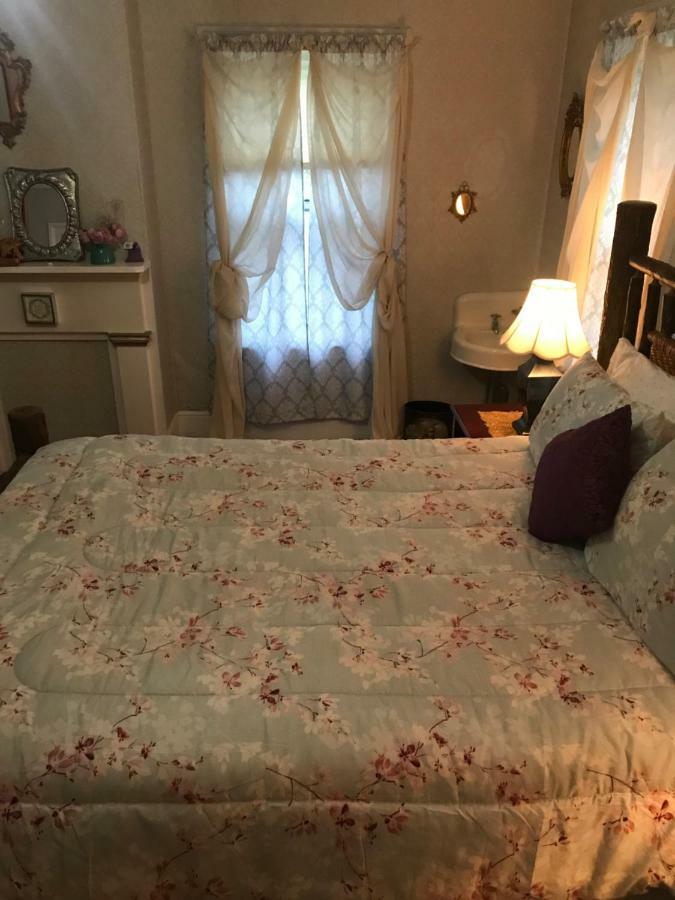 Bel'S Inn Bed And Breakfast 金斯顿 外观 照片