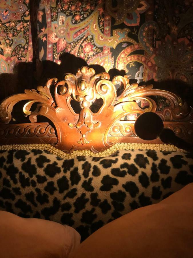Bel'S Inn Bed And Breakfast 金斯顿 外观 照片