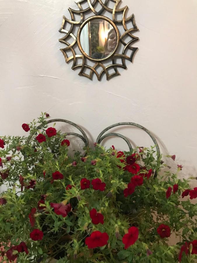 Bel'S Inn Bed And Breakfast 金斯顿 外观 照片