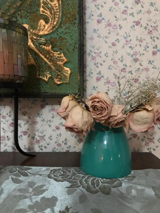 Bel'S Inn Bed And Breakfast 金斯顿 外观 照片